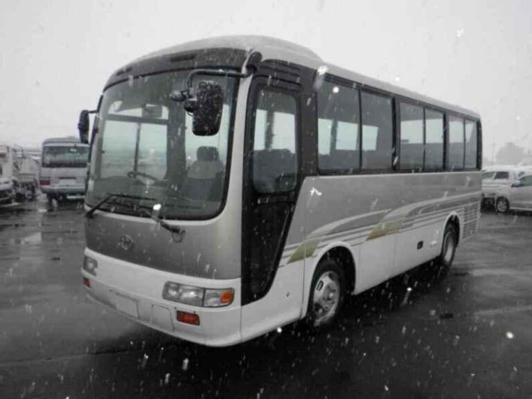 2002 Toyota Coaster BUS