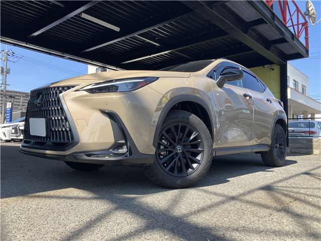 Lexus NX NX350h Overtrail Panoramic Roof
