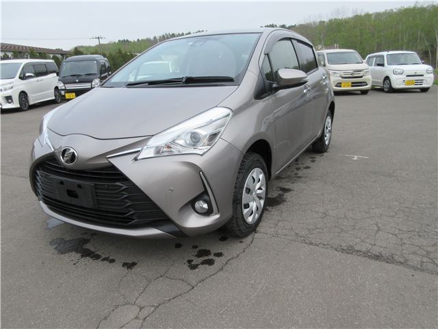 Toyota Vitz F Amie