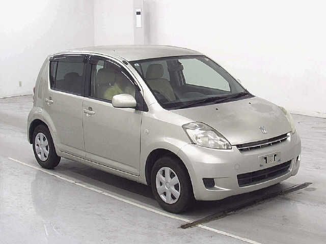 Toyota Passo X Irodori